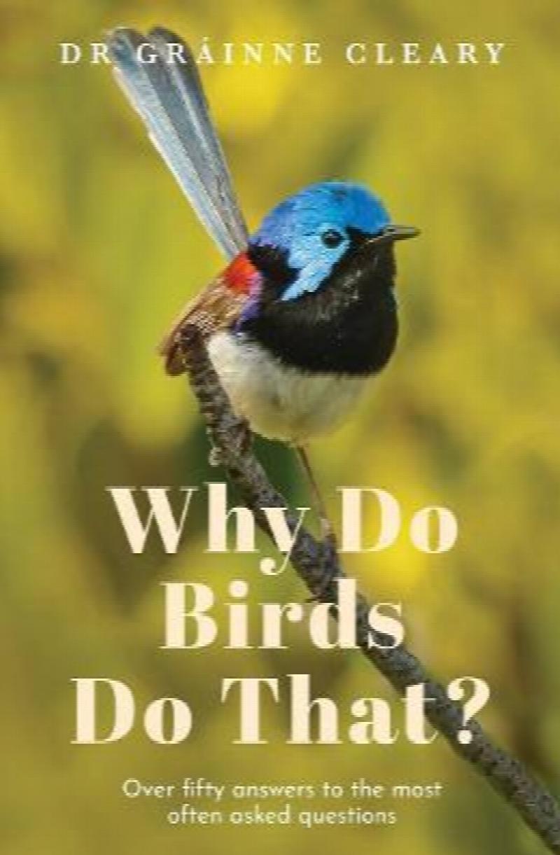 Your Backyard Birds : Understanding the Behaviours, Habits and Needs of ...