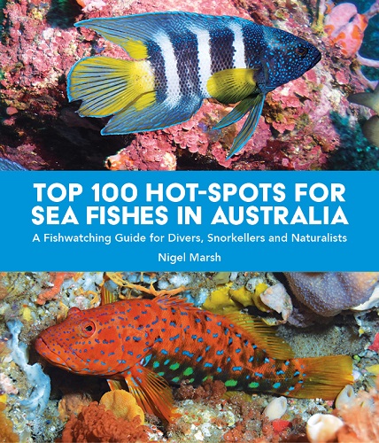 Australian Fish ID Pocket Guide: 9781865132280: : Books